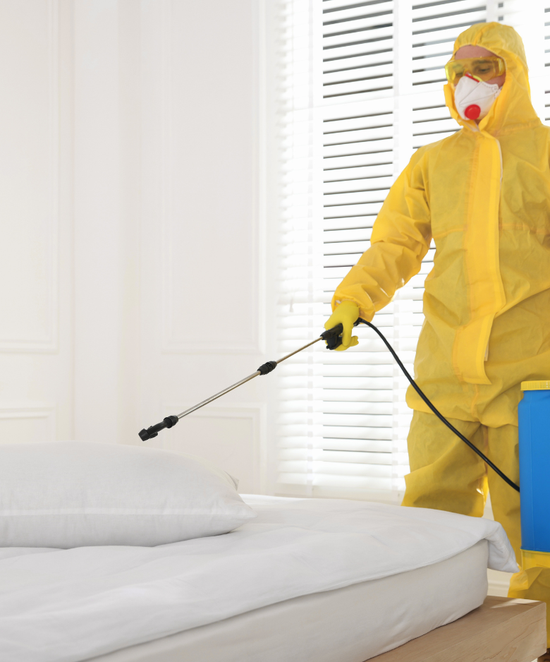 Professional Pest Control Team in Allenby Gardens